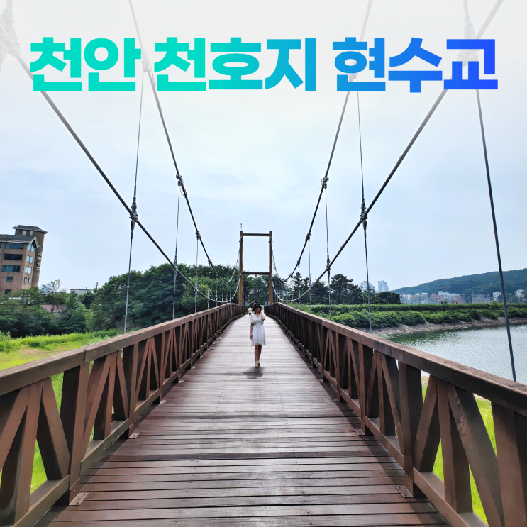 천안 천호지 현수교 시원한 단대호수 산책로