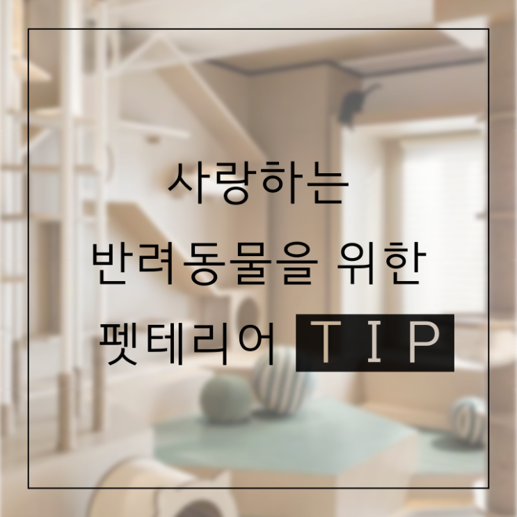  펫테리어 아이디어 총정리! 사랑하는 반려동물과 함께하는 집
