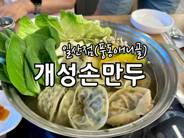  일산 애니골 최애식당 개성손만두 만두전골