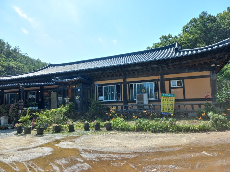  천안 갈만한 곳 쉼과 볼거리 그리고 맛을 누릴 수 있는 자연누리성으로의 초대!!!
