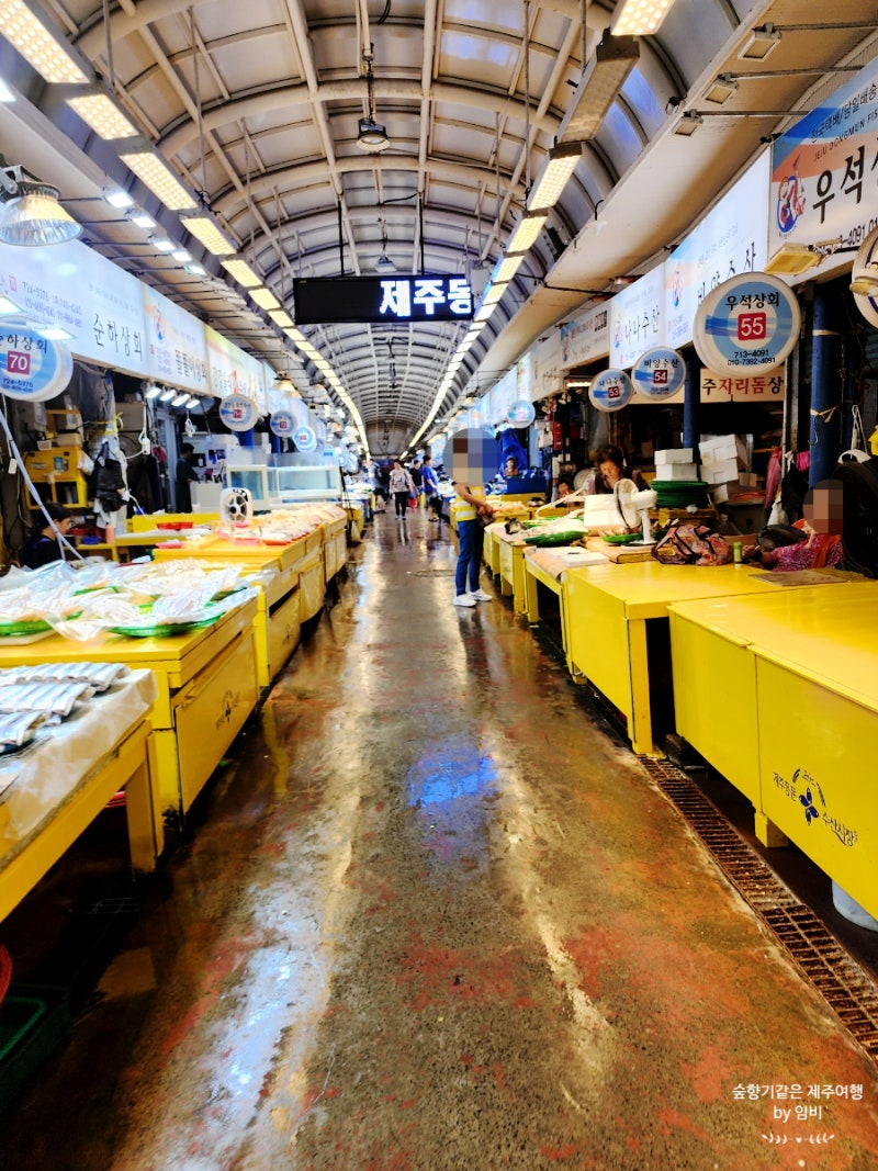 제주 동문시장 수산시장 한치 가격 제주도 먹거리 : 네이버 블로그