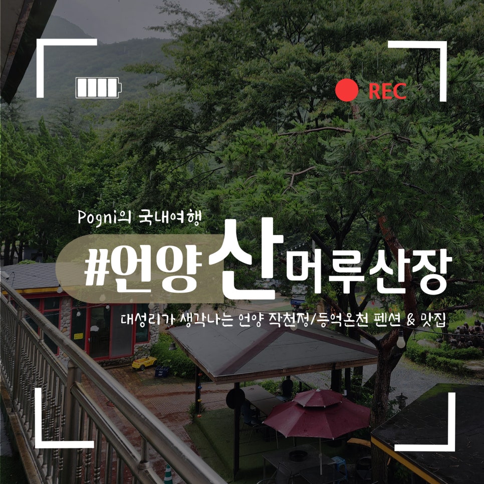 산머루 사진 1