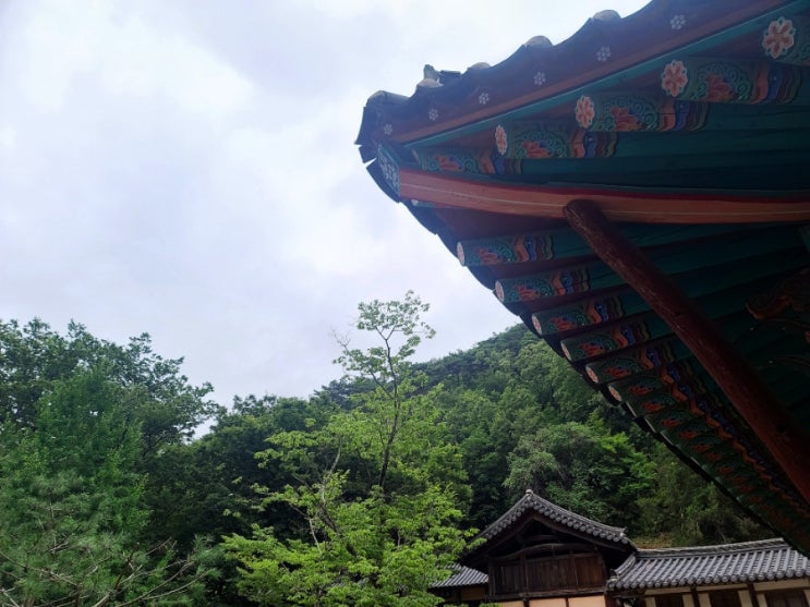  경북 의성 고운사 1박2일 템플스테이 후기_2일차