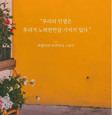  [35th]23년6월 월간결산 & 2분기결산 - 중요한건 꺽이지 않는 마음
