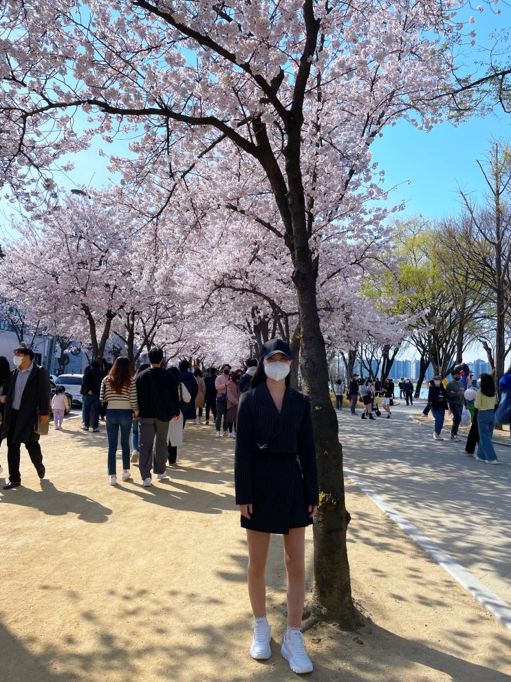  조혈모세포 이식후 여행