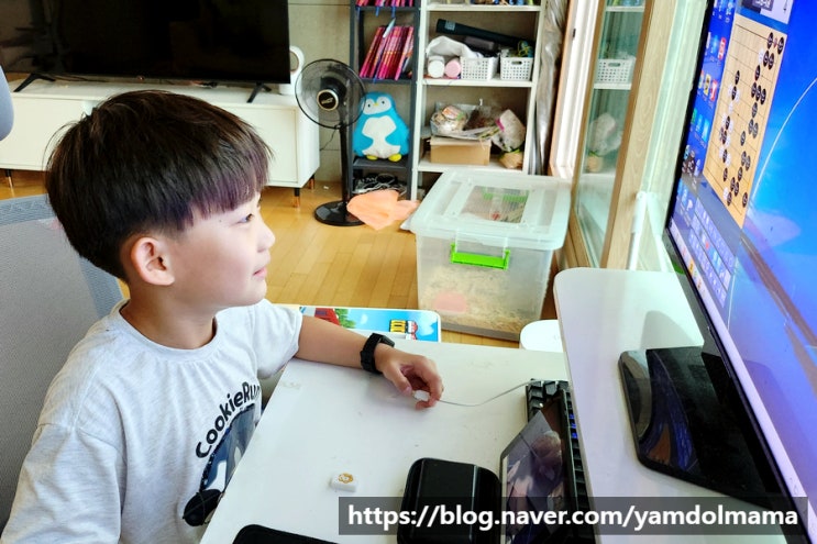  온라인 바둑학원 나는야 바둑왕으로 바둑배우기