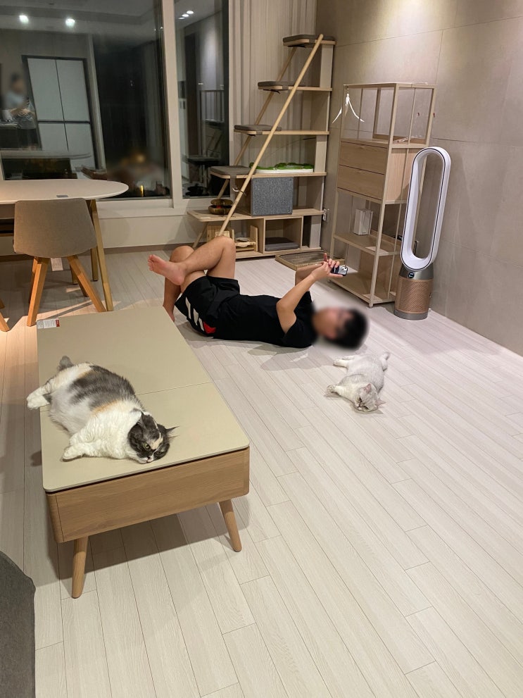 우다다다
