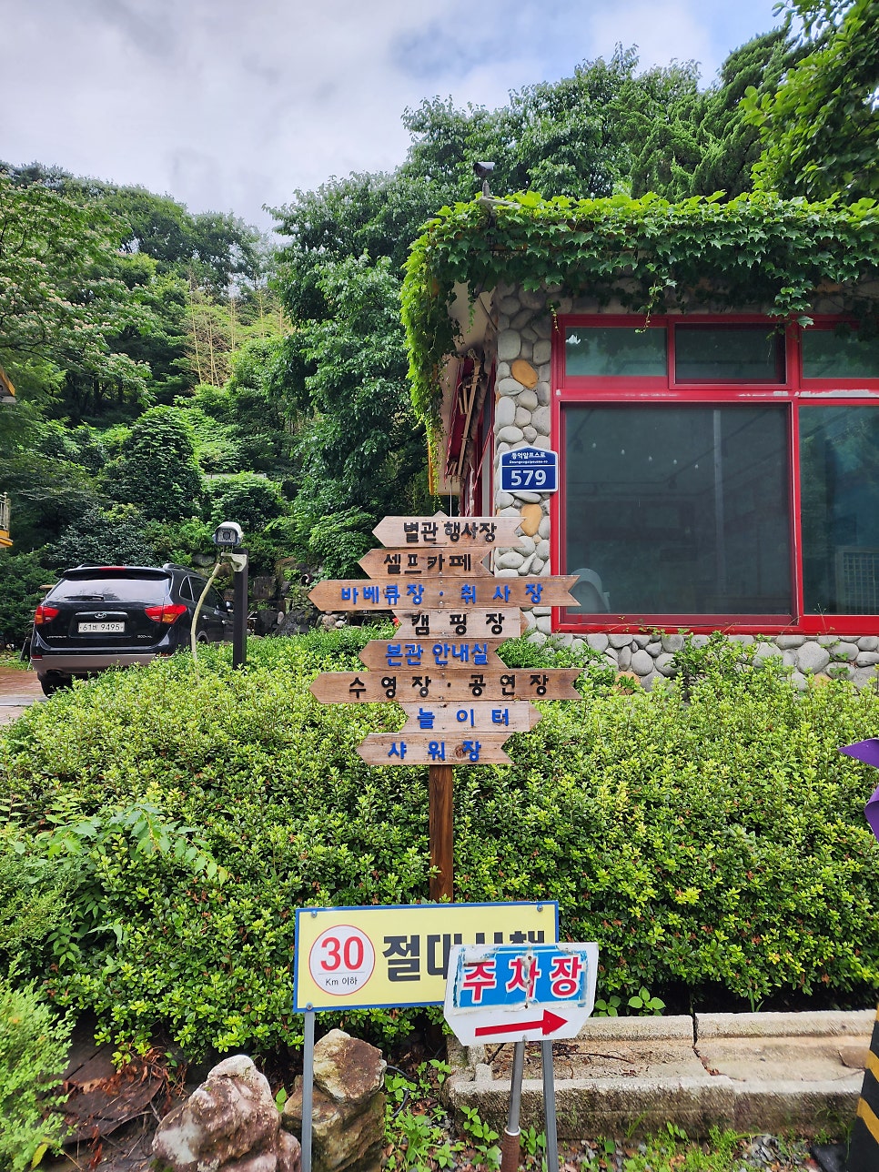 산머루 사진 5
