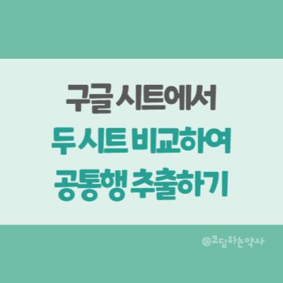  구글 시트에서 두 시트에 공통으로 존재하는 행 추출하기 -  FILTER 함수