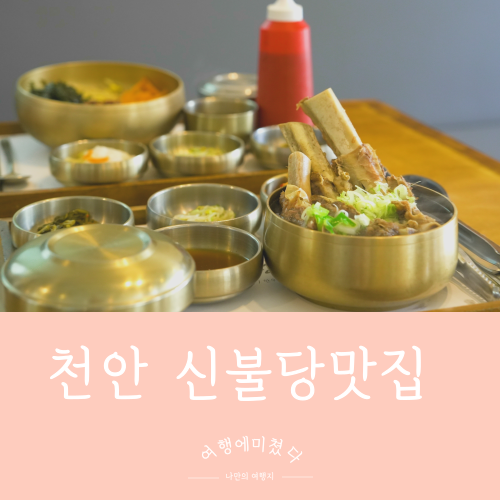  현대정육점 충남 천안 신불당맛집 여름보양식 왕갈비탕 육회비빔밥
