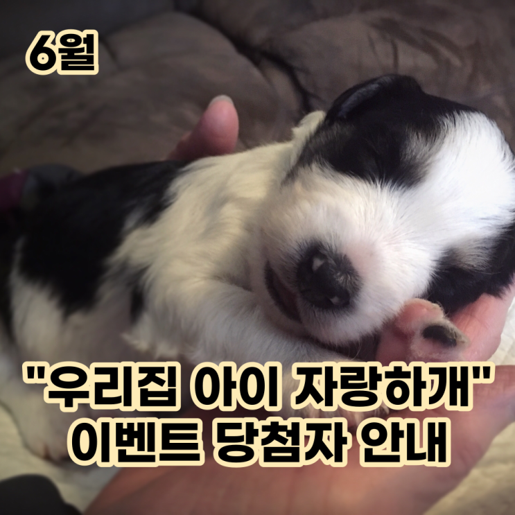  6월 우리집 아이 "자랑하개" 이벤트 당첨자 안내~!