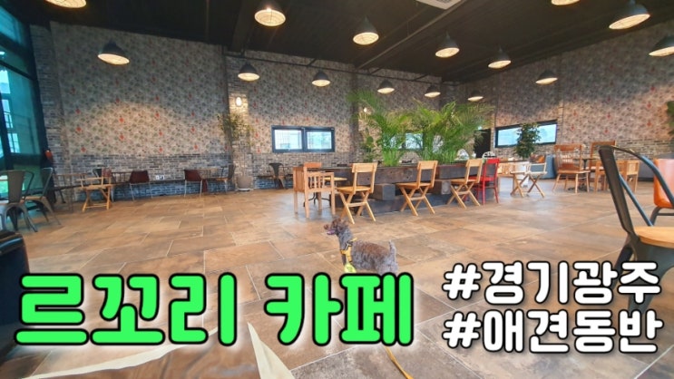  경기 광주 : 르꼬리 카페 애견동반 가능 카페