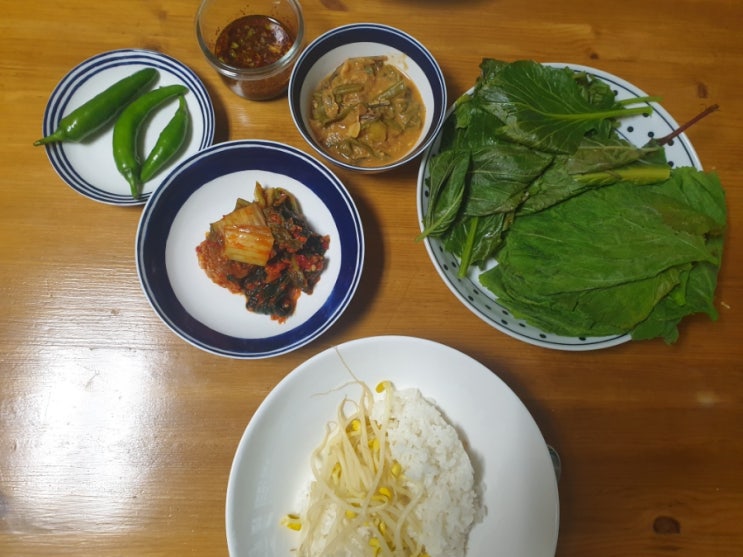  호박잎쌈 콩나물밥 저녁 해결~