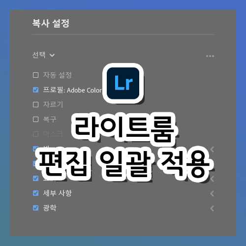  [라이트룸 강의] 편집 일괄 적용하기