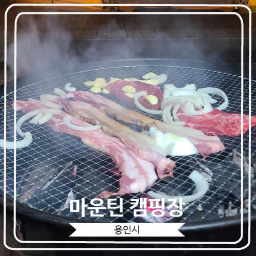  [마운틴 캠핑장] 인생 첫 글램핑 / 애교만점 고양이 노니가 반겨주는 곳