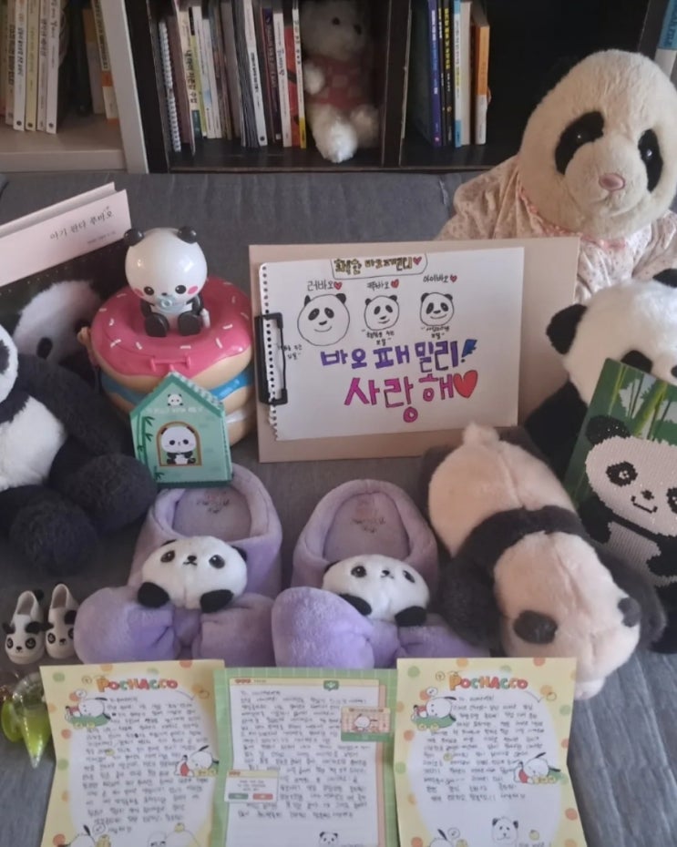 푸바오 또 다른 기적이 펼쳐진 판다 월드! 우리 집 둘째의 푸바오 사랑 푸바오 또 다른 기적이 펼쳐진 판다 월드! 우리 집 둘째의 푸바오 사랑
