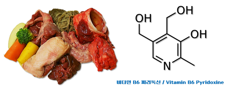  (13) 내 몸 필요 영양소 - 비타민B6 결핍, 과잉, 섭취방법