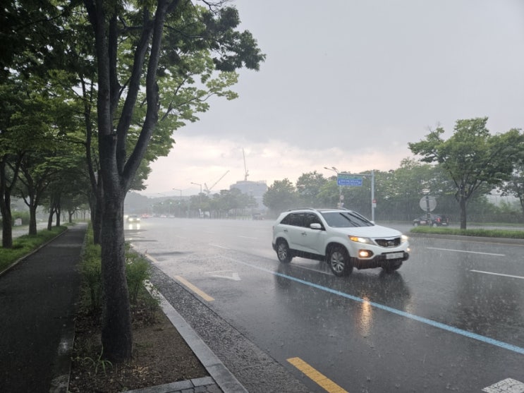  여기가 동남아인가요