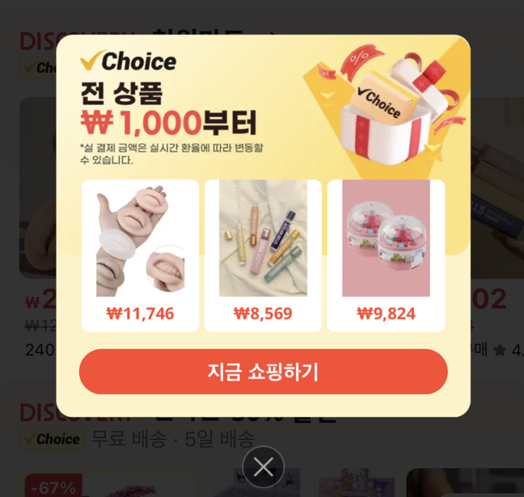  알리익스프레스 천원마트 직구 후기