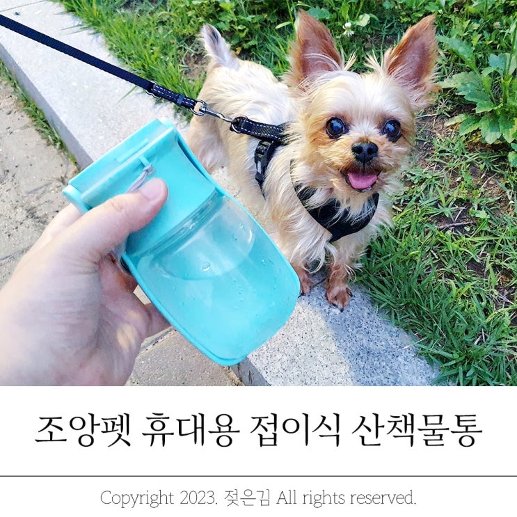 강아지여름산책 필수템 조앙펫 접이식 강아지물통 강아지여름산책 필수템 조앙펫 접이식 강아지물통