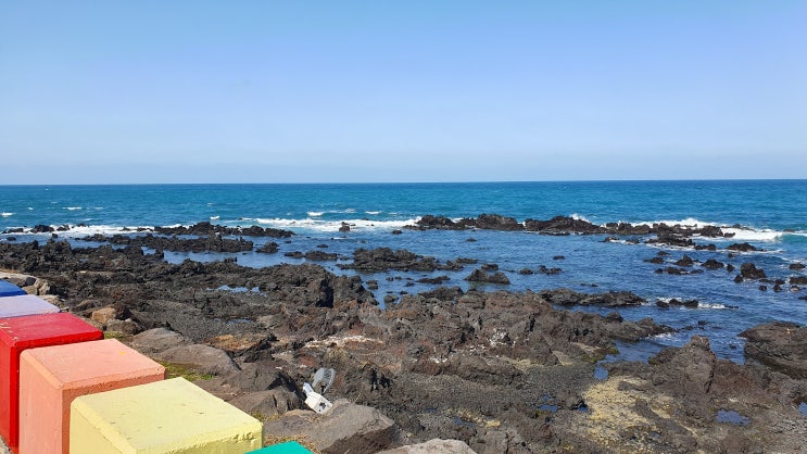  [2] 2023 02 제주도 2박 3일 다녀온 여행 기록