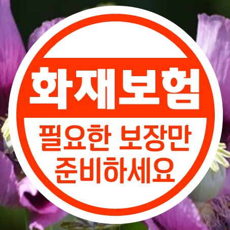  다가구주택화재보험 가격 보장내용 다세대주택화재보험 추천 회사 비교 하세요.