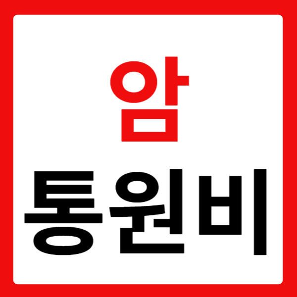  암 통원비