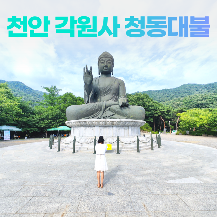 천안 각원사 청동대불 연화지 무료입장 천안 각원사 청동대불 연화지 무료입장