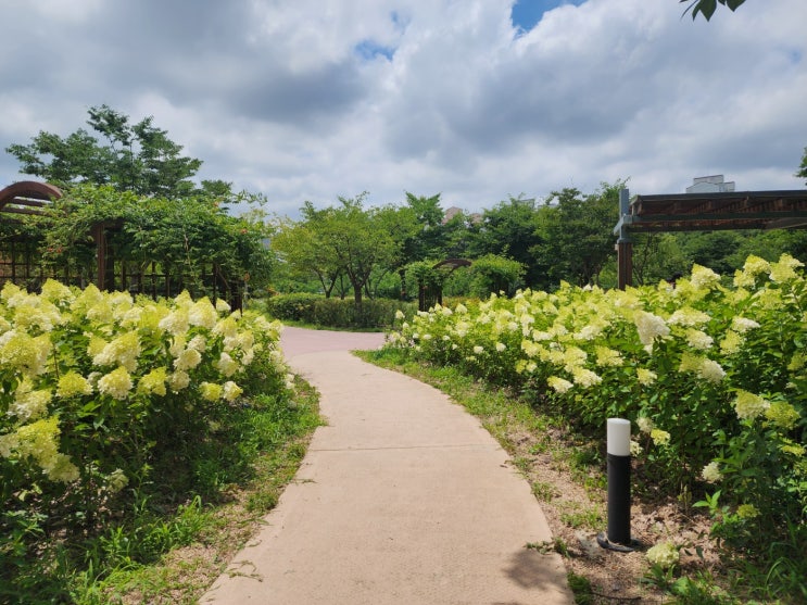  수원 데이트코스 추천 신동카페거리 & 신동수변공원, 수국정원