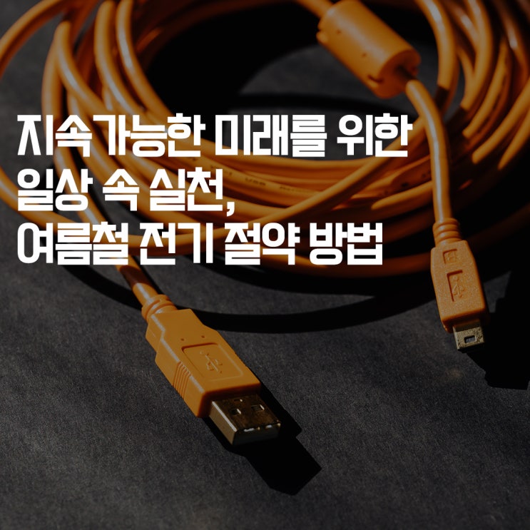  [심플플래닛의 심플두잇] 지속가능한 미래를 위한 일상 속 실천, 여름철 전기 절약 방법