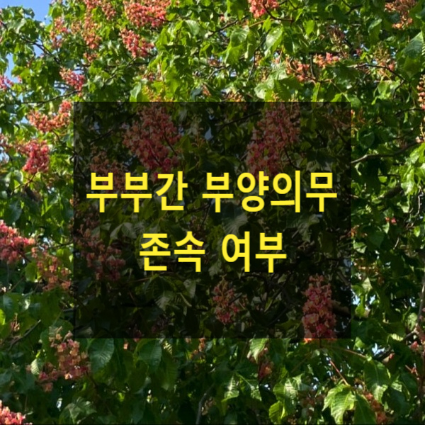  부양료 청구 심판과 반소제기 부부간 부양의무 존속 여부(대법원 2023. 3. 24. 결정 2022스771)
