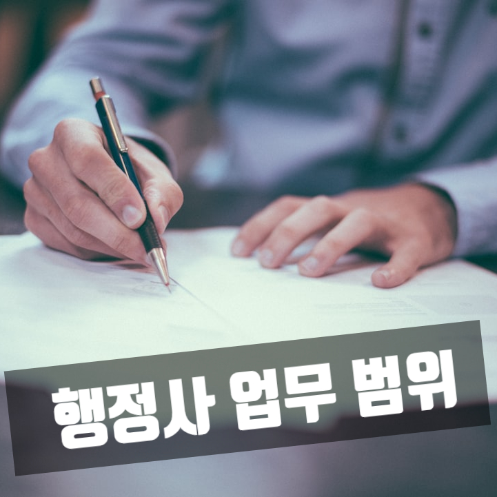  음주운전 공소 제기와 피고인 의견서 작성, 행정사 업무 범위 검토