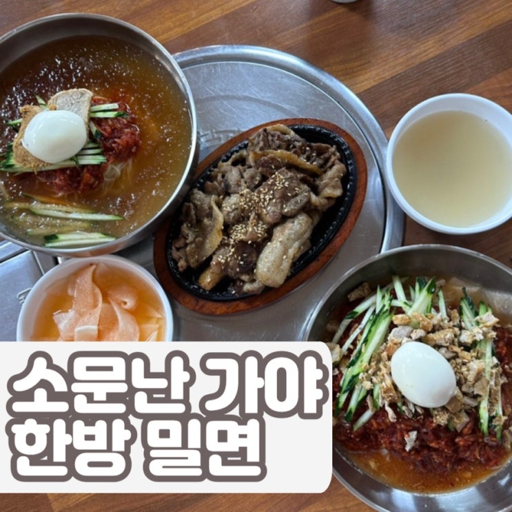  부산 기장 밀면맛집 소문난 가야한방 밀면 주차가능