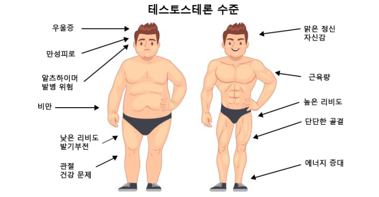 정서적 운동 노르딕 워킹 운동을 통한 긍정적 호르몬 변화 남성 편