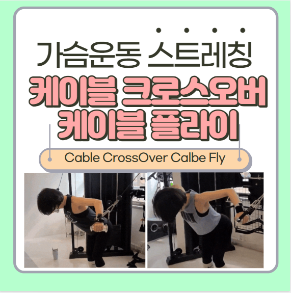  케이블 크로스오버 자세 운동방법 및 주의사항 장점 가슴운동 cable fly cable crossover