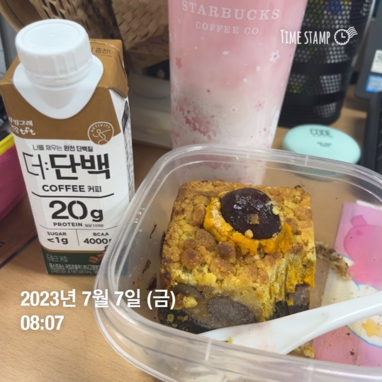  2023 양쓰 다이어트 한달 -3kg 1차 이번엔 못 빼면 하루 20km 걷는거야 D+1~3