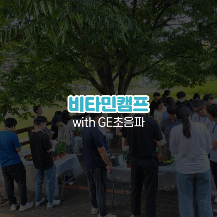  사내교육 사외교육 비타민캠프 with GE초음파