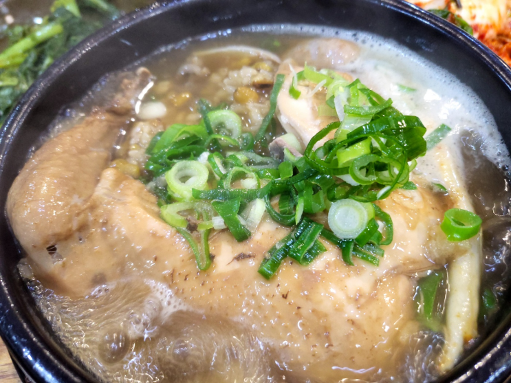 [초복]엔 송내역맛집 삼계탕 맛길따라 오닭촌 투나맛집 한번만 갈 순 없을 걸