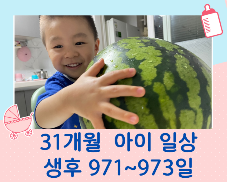  31개월 아이 일상/971~973일