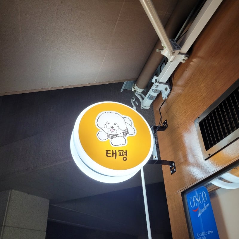 사진 4