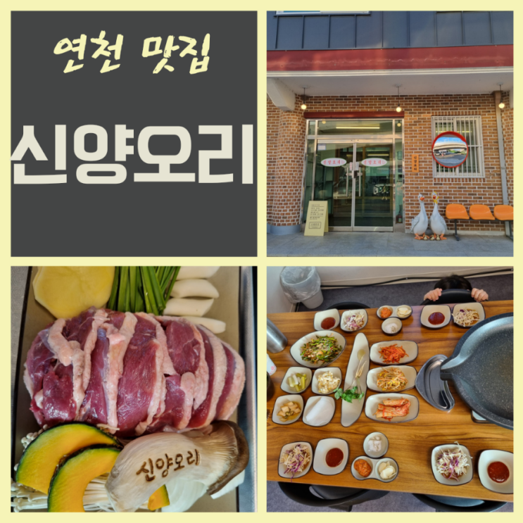  연천 오리구이맛집 전곡 신양오리