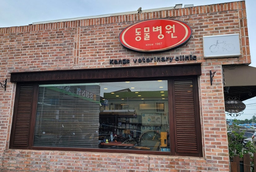강영석동물병원 사진 6