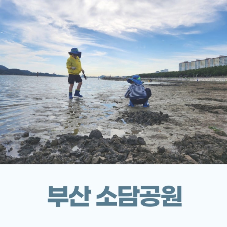  부산 소담공원 갯벌체험 다대포 대신 강서구로 아이랑 함께