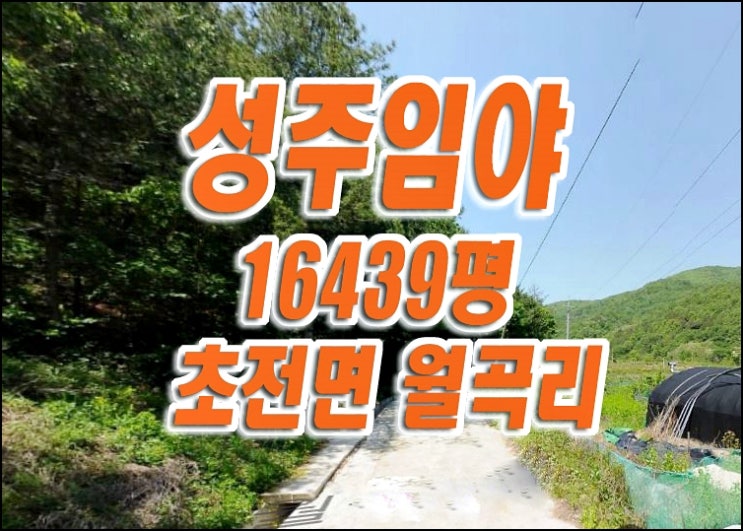 성주군 초전면 월곡리 성주 임야 경매 매매