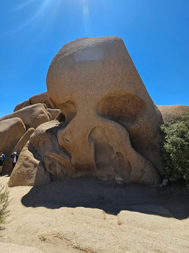 스컬락(Skull Rock)과 엉덩이 바위