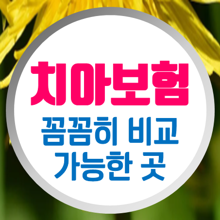 아이 치아보험 가입조건 확인 및 어린이치아교정보험 꼼꼼히 비교해요.