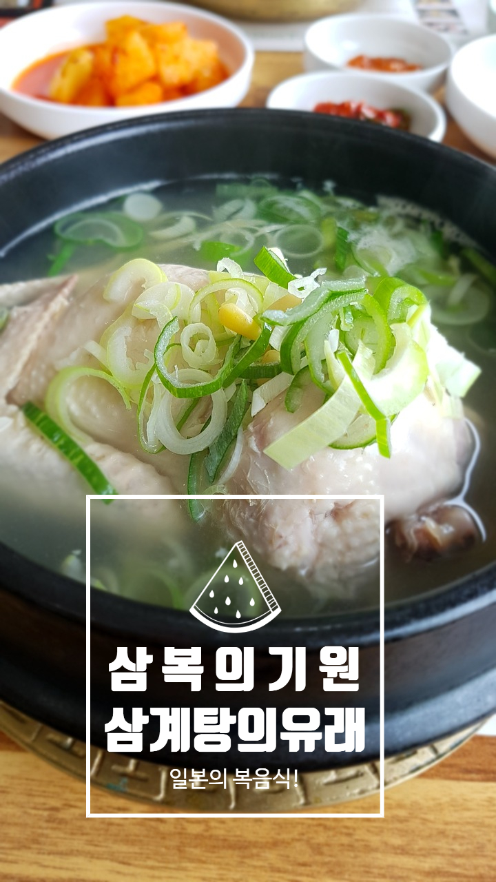  삼복의 기원 삼계탕 팥죽? 일본에도 초복이 있을까?