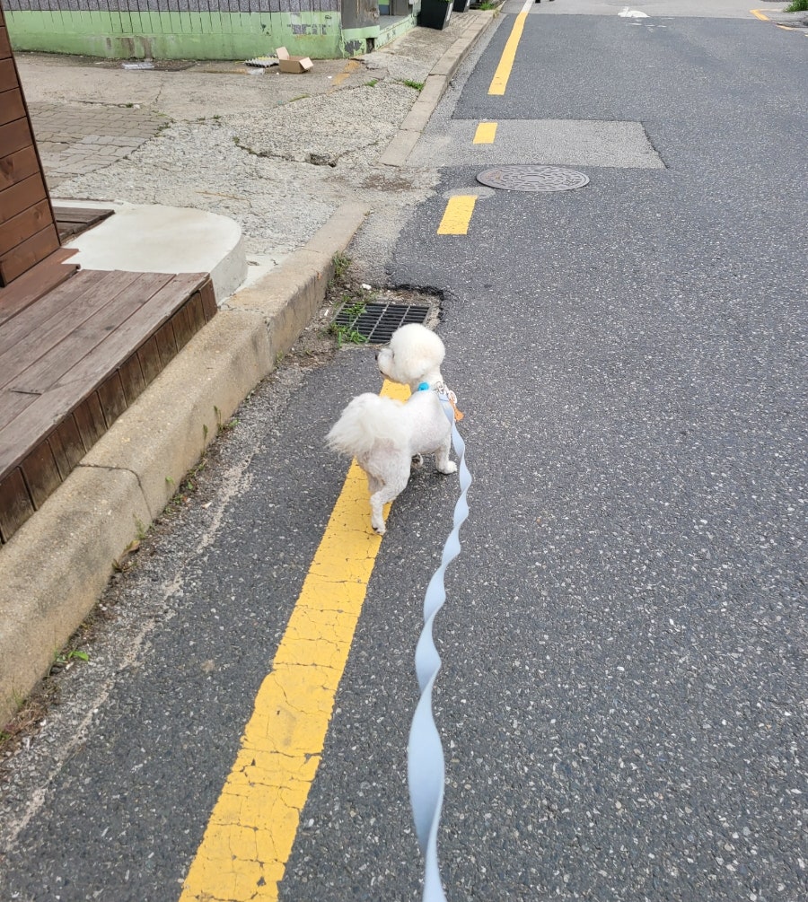 강영석동물병원 사진 4