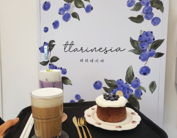  광주근교 블루베리 농장이 있는 장성 대형 카페 따리네시아