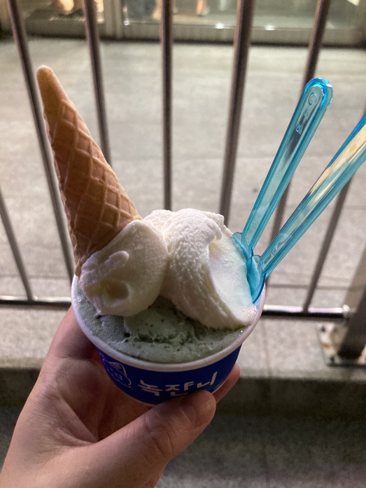  속초 해수욕장 젤라또 맛집 녹쟌니